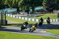 Lower Group Yellow Bikes